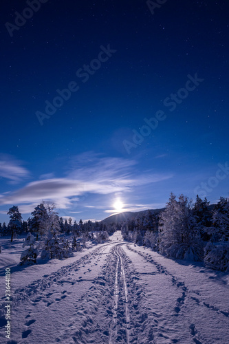 Night in the snowy forest. Norwegian wintertime. photo