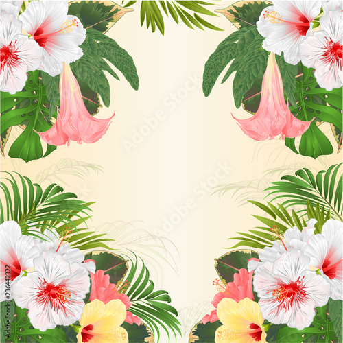 Frame tropical flowers floral arrangement, with pink yellow and white hibiscus and Brugmansia palm,philodendron vintage vector illustration editable hand draw