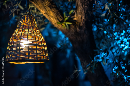 Bamboo lampshade in colorful lighting tree