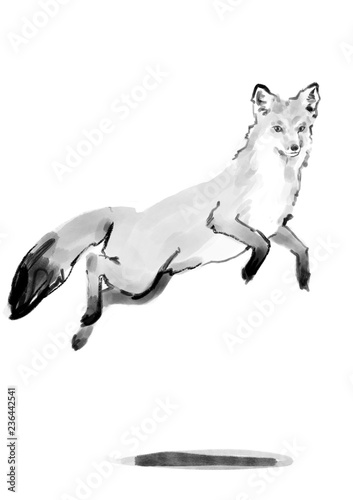 Ink isolated fox over white background 