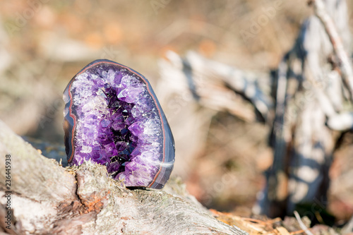 Small amethyst crystal standing on an old tree with a blurry background