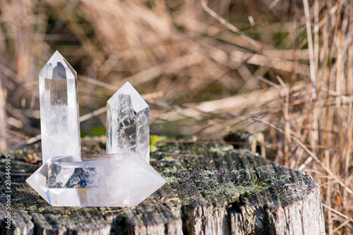 3 small clear quartz crystals laying on a tree with grass in the background