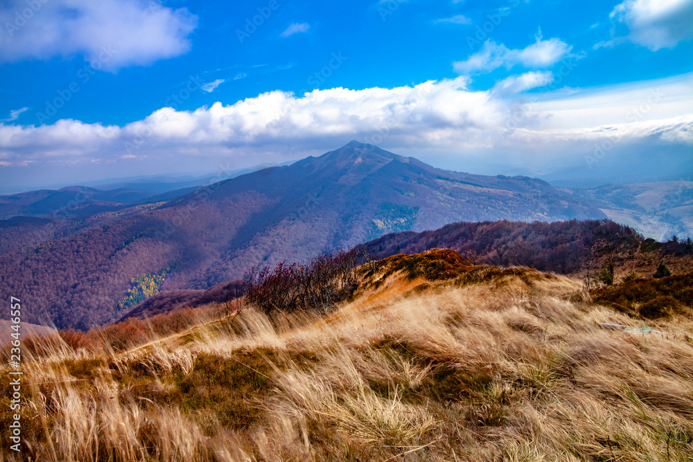 Fototapeta premium Landscape of autumnal peaks of the Carpathians.