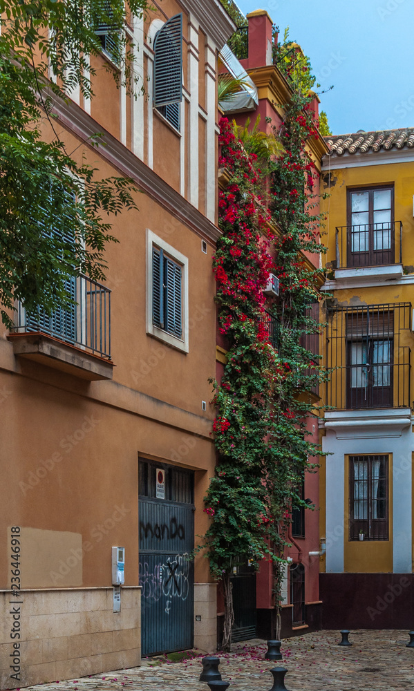 Obraz premium old house with windows