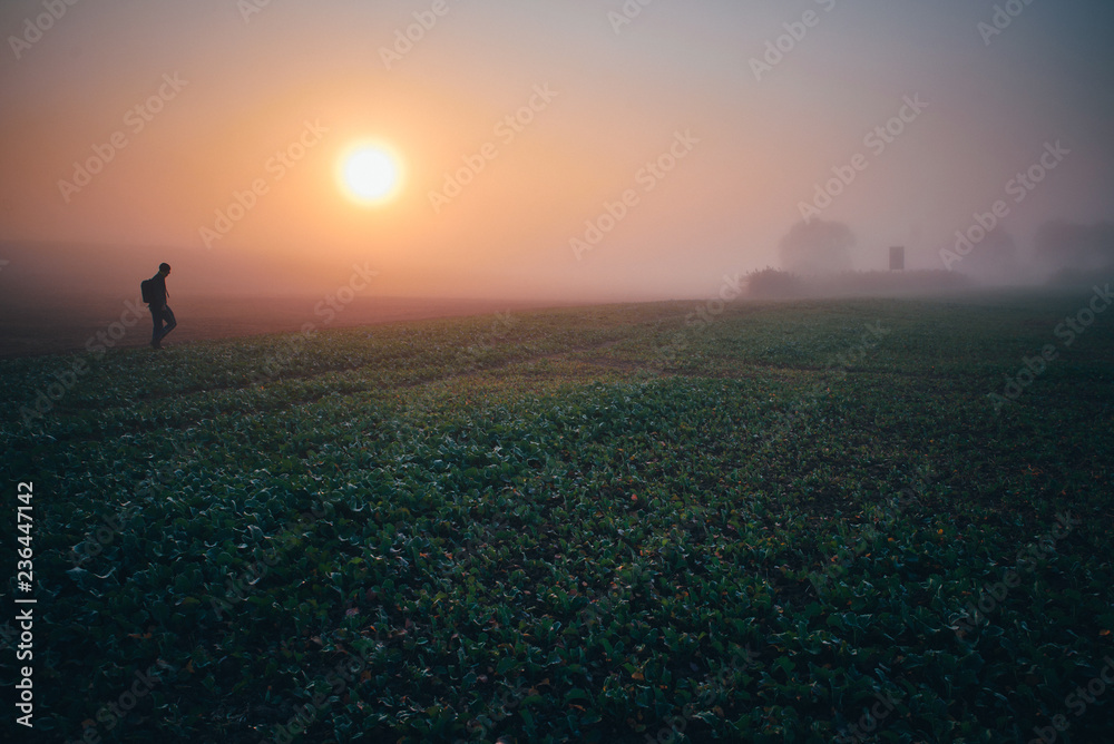 Alone man - morning mist in autumn nature Alone man - morning mist in autumn nature