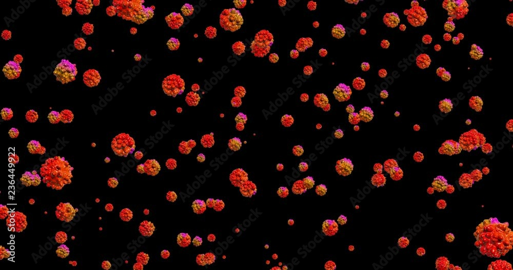 Red Bacteria virus or germs microorganism cells able to loop Red Bacteria virus or germs microorganism cells able to loop