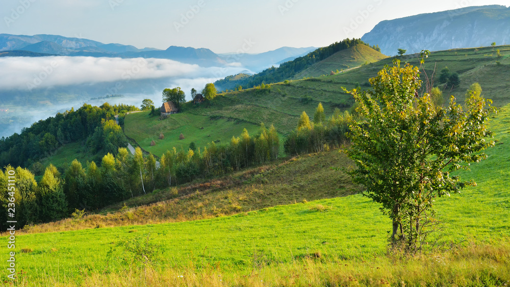 Obraz premium Autumn in Transylvania - the Apuseni Mountains