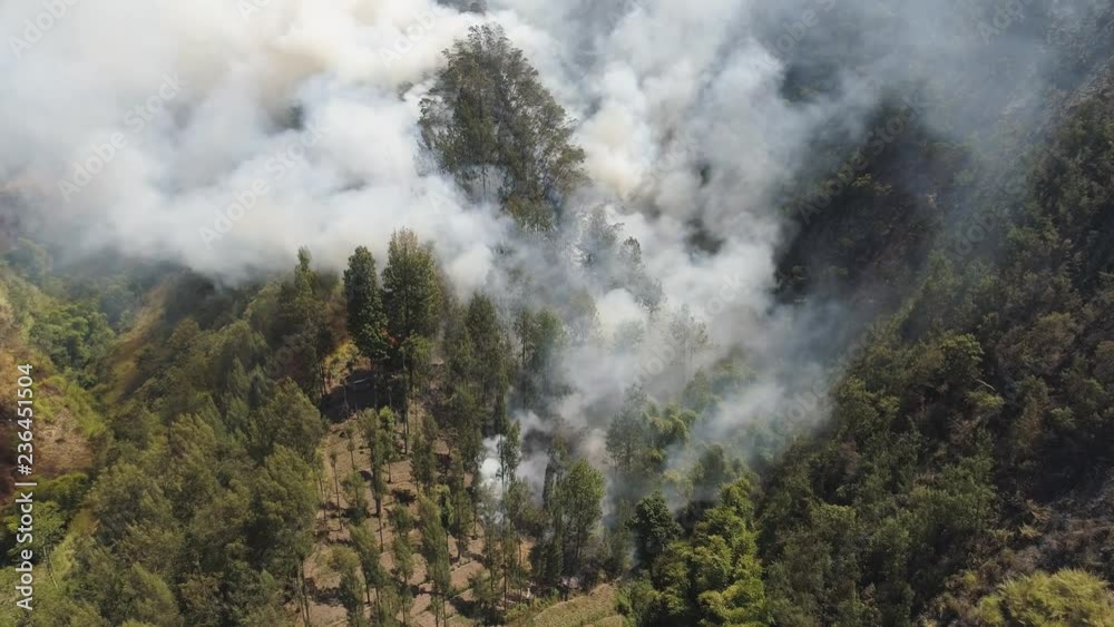 fire in mountain forest. aerial view forest fire and smoke on slopes hills. wild fire in mountains in tropical forest, Java Indonesia. natural disaster fire in Southeast Asia fire in mountain forest. aerial view forest fire and smoke on slopes hills. wild fire in mountains in tropical forest, Java Indonesia. natural disaster fire in Southeast Asia