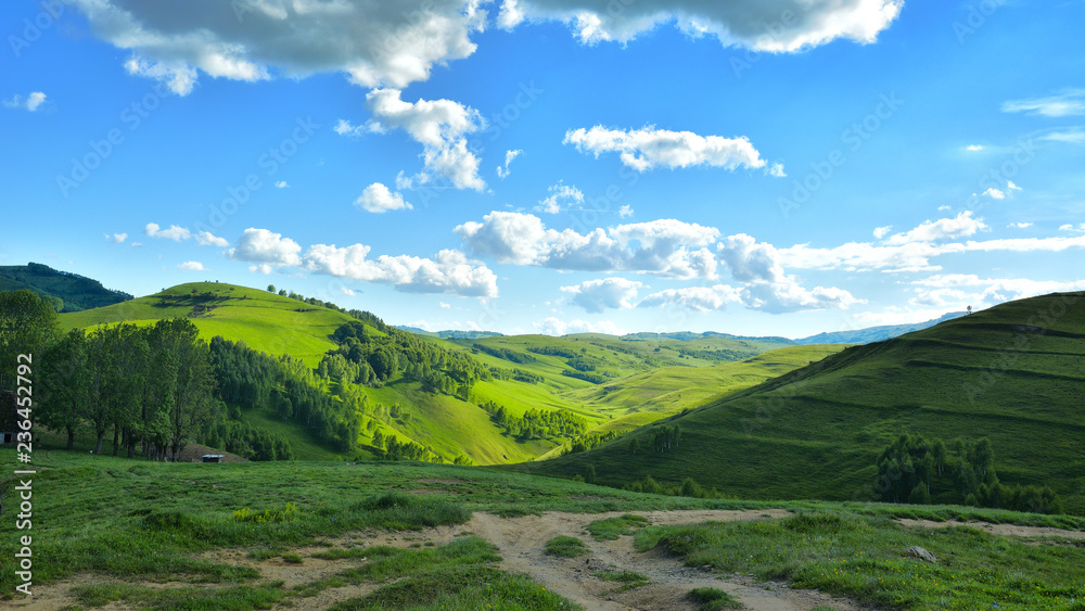 Summer Day in Transylvania - the Apuseni Mountains Summer Day in Transylvania - the Apuseni Mountains