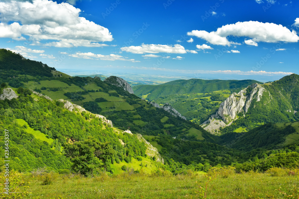 Summer Day in Transylvania - the Apuseni Mountains Summer Day in Transylvania - the Apuseni Mountains