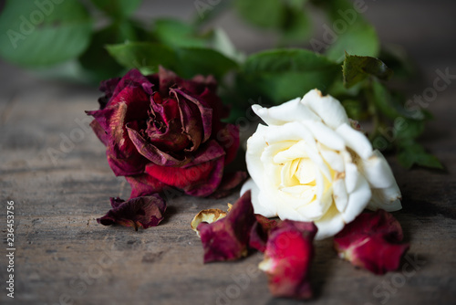 Dry red  roses  on grunge wooden background still life