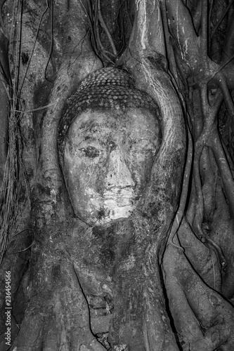 buddhas head in Mahathat temple is covered by roots