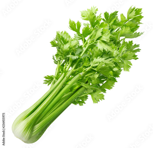 Fresh celery isolated on white background photo