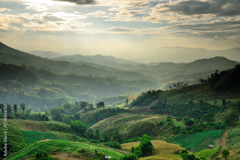 Fototapeta premium Natural landscape view with mists sea at sunrise. Mists in the cove. Mountain of fog, sun and win.