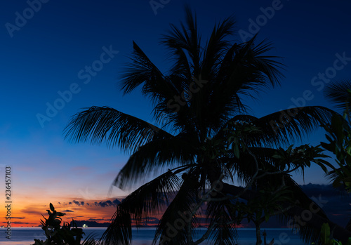 Silhouette coconut palm trees over blue sea sky background at dusk © jcsmilly