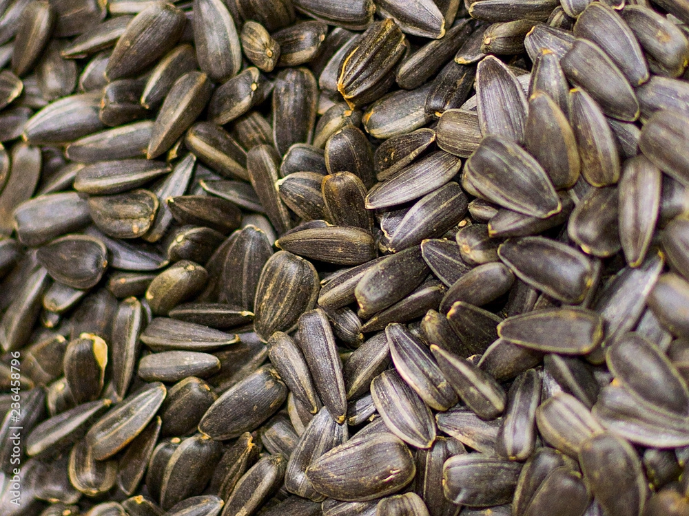 Roasted sunflower seeds closeup. concept: design, background Roasted sunflower seeds closeup. concept: design, background