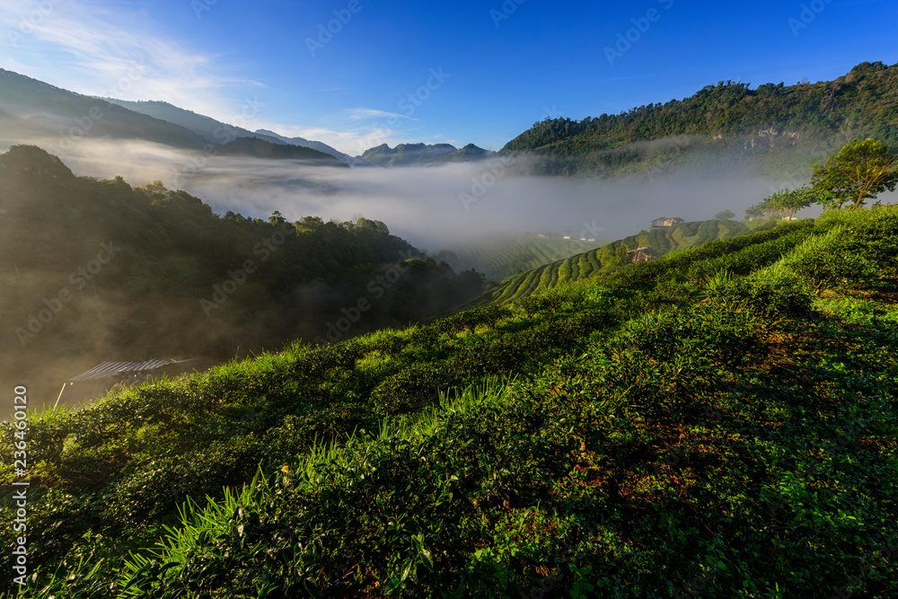 Angkhang Chiang Mai Thailand