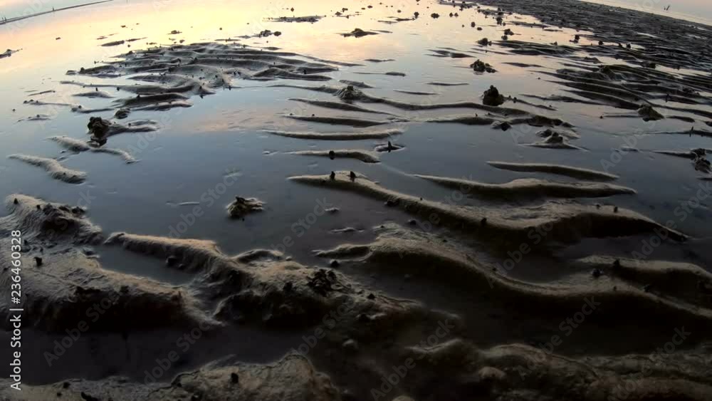 Wattenmeer, Rippelmarken, Sonnenuntergang Wattenmeer, Rippelmarken, Sonnenuntergang
