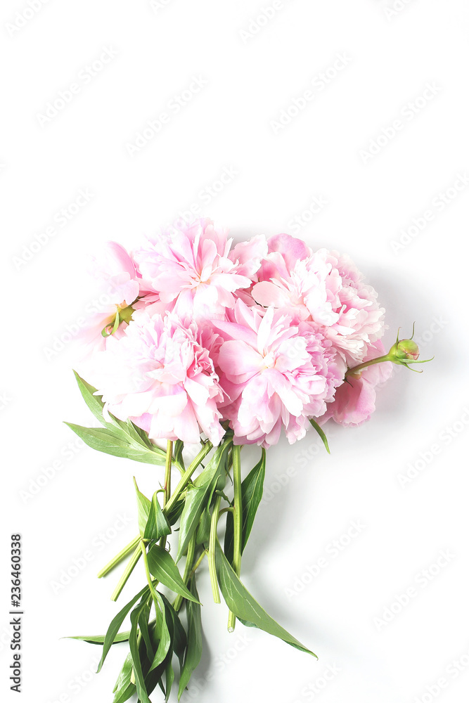 bouquet of fresh peonies on a white background in the center of the frame. flat lay, vertical frame