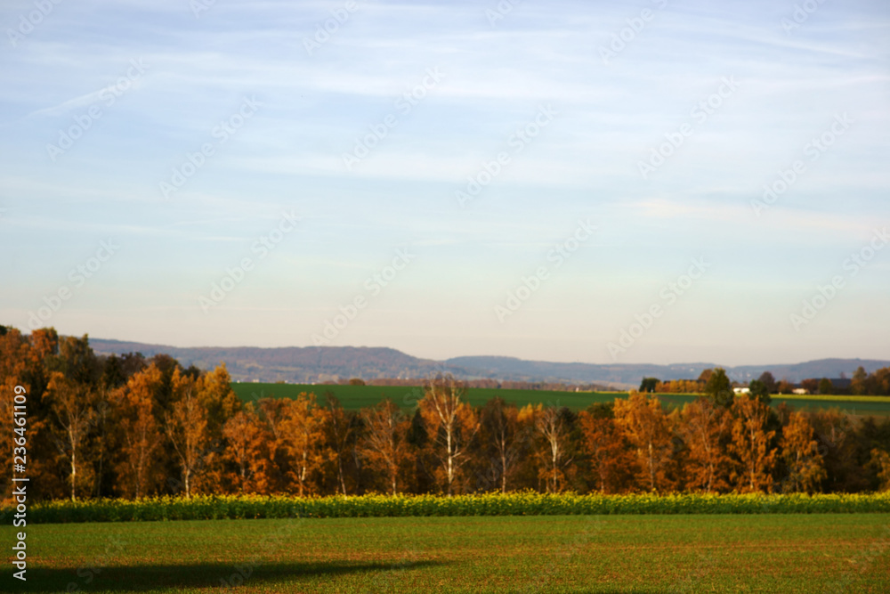 Herbstlandschaft / Eine Herbstlandschaft mit Feldern, Wiesen, Bäumen und Hügeln. ..