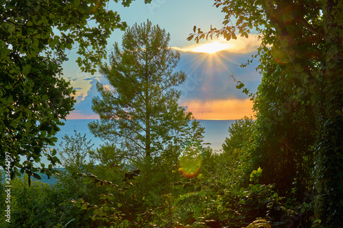 golden sunset over sea with rays of the sun through the greens