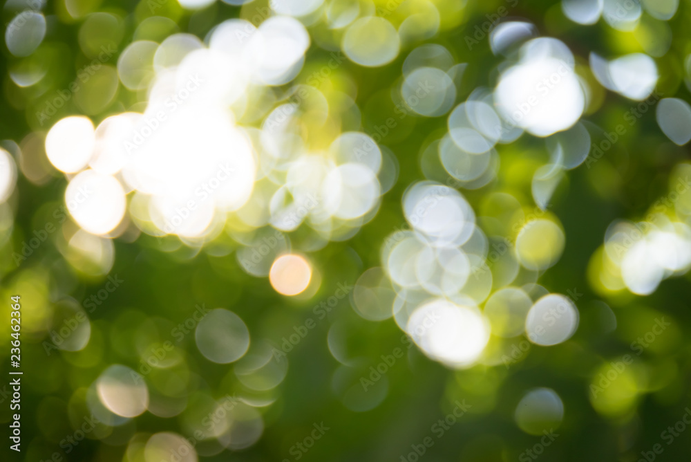 Obraz premium Abstract green bokeh blur nature background. Summer time.
