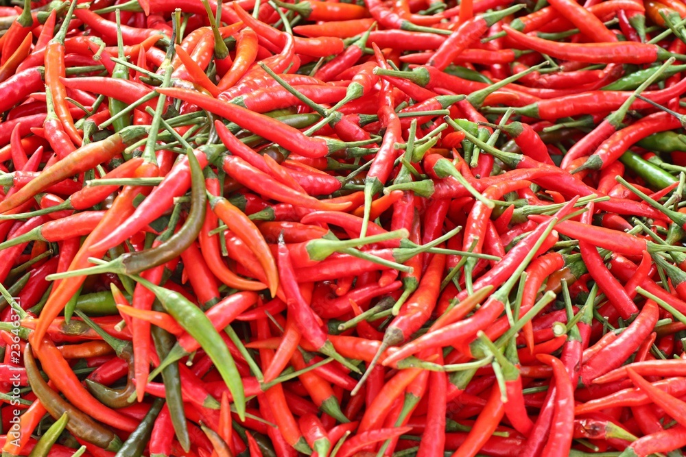 Fresh chilli at market