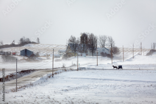 Amish buggy travels a country road in upstate New York on a cold day in January. © Bardo Blue