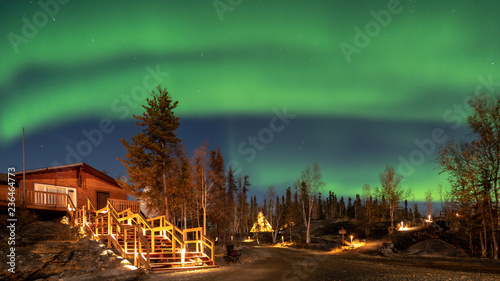 A log cabin in pine forest under Aurora borealis at YellowKnife, photo