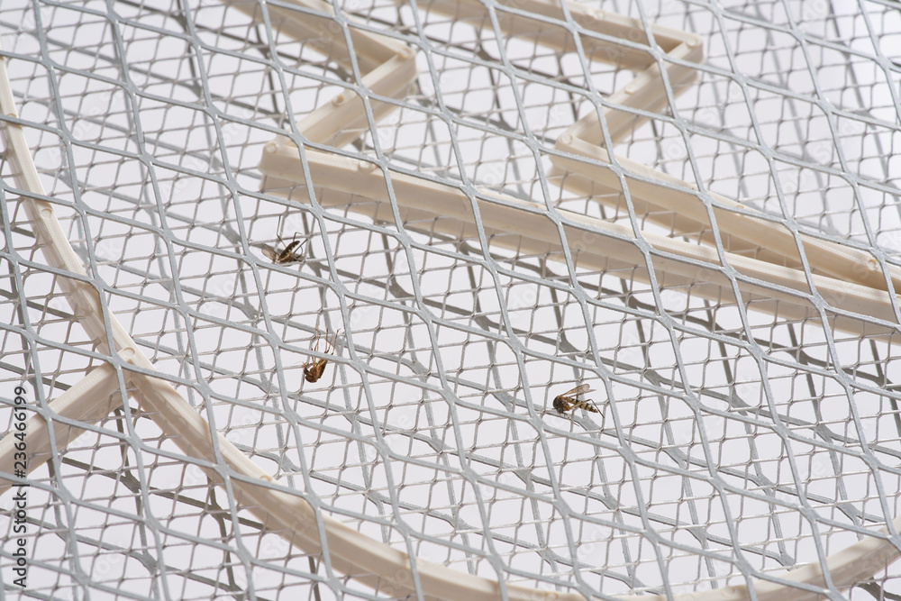 Fototapeta premium Electric Fly Swatter Mosquito Pet Insect Killer Bug Zapper Racket Battery Bat