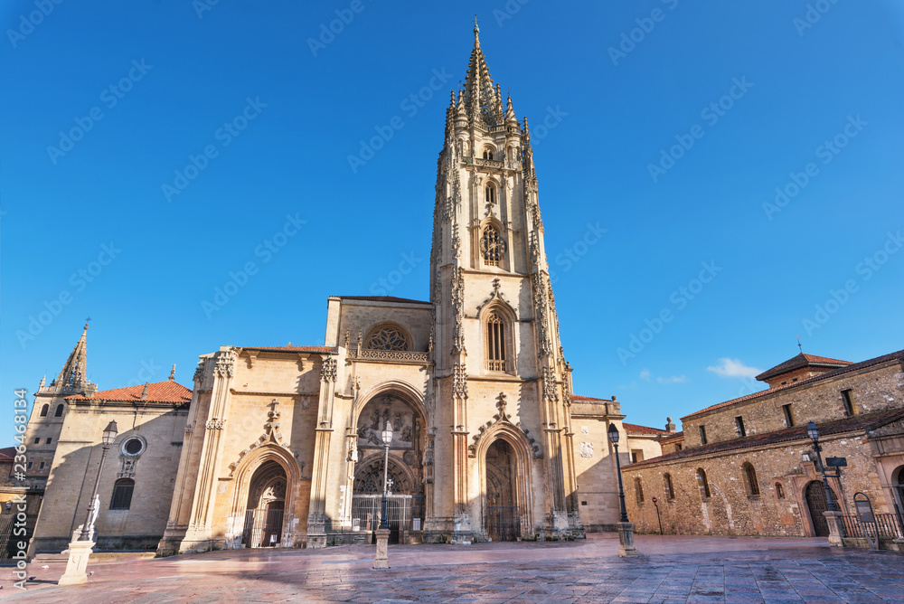 Oviedo cathedral, Asturias, Spain. - obrazy, fototapety, plakaty 