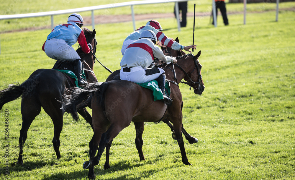 Three jockeys and race horses in intense competition for first place Three jockeys and race horses in intense competition for first place