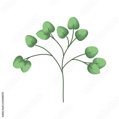 branch with leafs isolated icon © grgroup