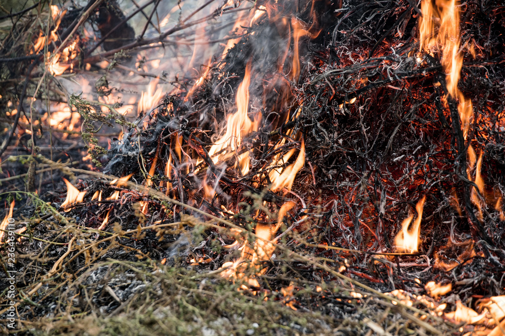 Charred wood burning down in the fire glow, close-up Charred wood burning down in the fire glow, close-up