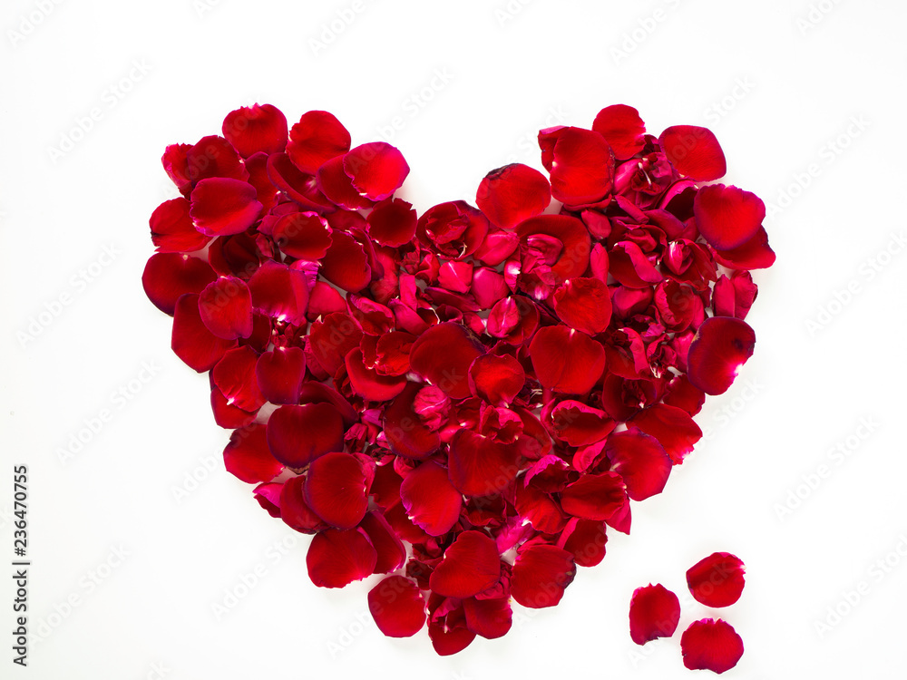 beautiful heart of red rose petals on white