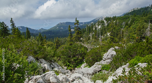 Northern Velebit National Park, Croatia photo