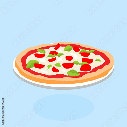 Concept of fast food. Pizza on plate. Vector illustration in cartoon style.