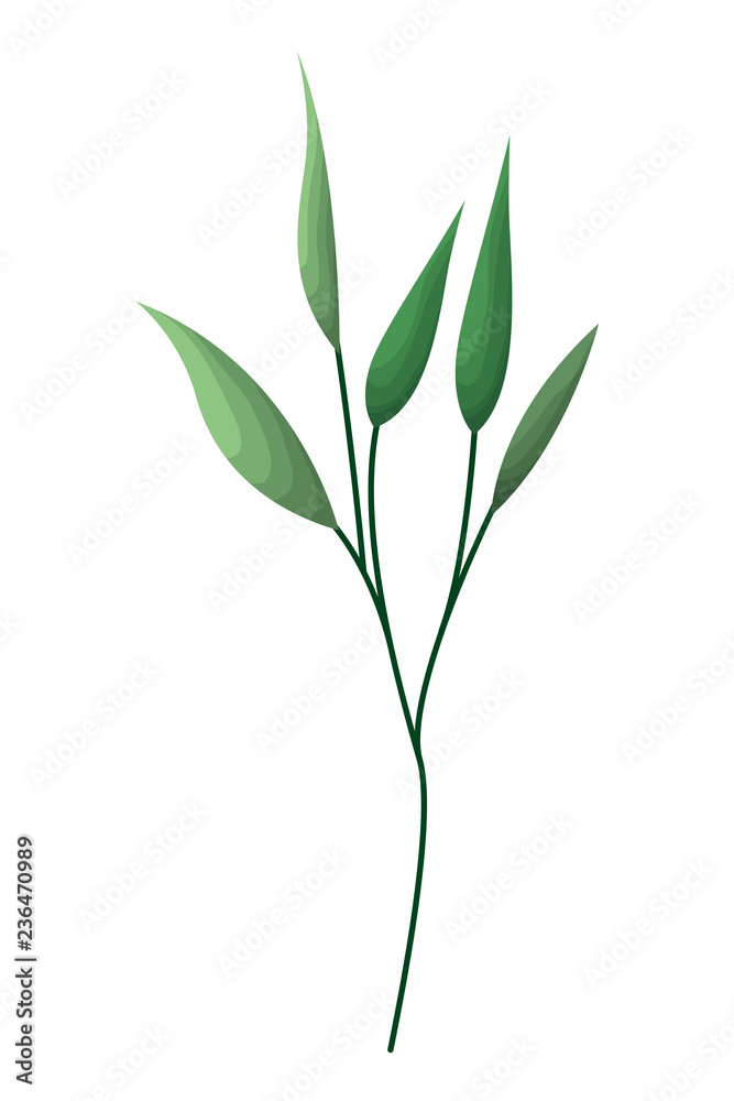 Obraz premium branch with leafs isolated icon