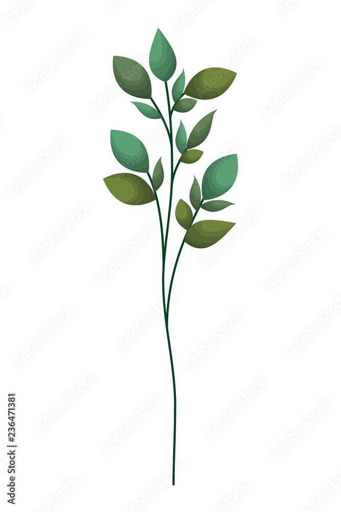 Fototapeta premium branch with leafs isolated icon