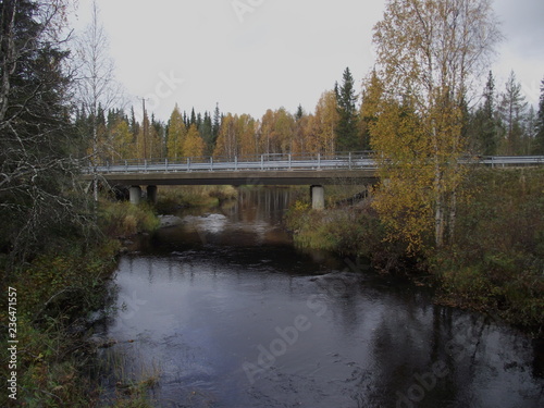 bridge over the river in forest photo