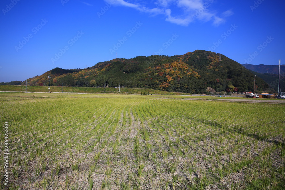 farm view of japan Kameoka shi