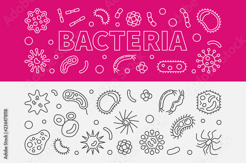 Set of 2 Bacteria microbiology outline banners. Vector illustration in thin line style