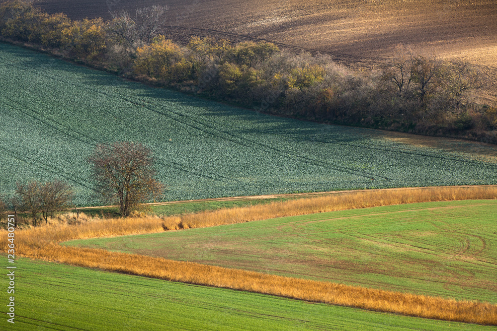 Minimalistic landscape with waves hills, green and brown fields, South Moravia, Czech Republic