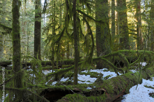 Mount Rainier National Park, WA, USA.  © Randy Klimek