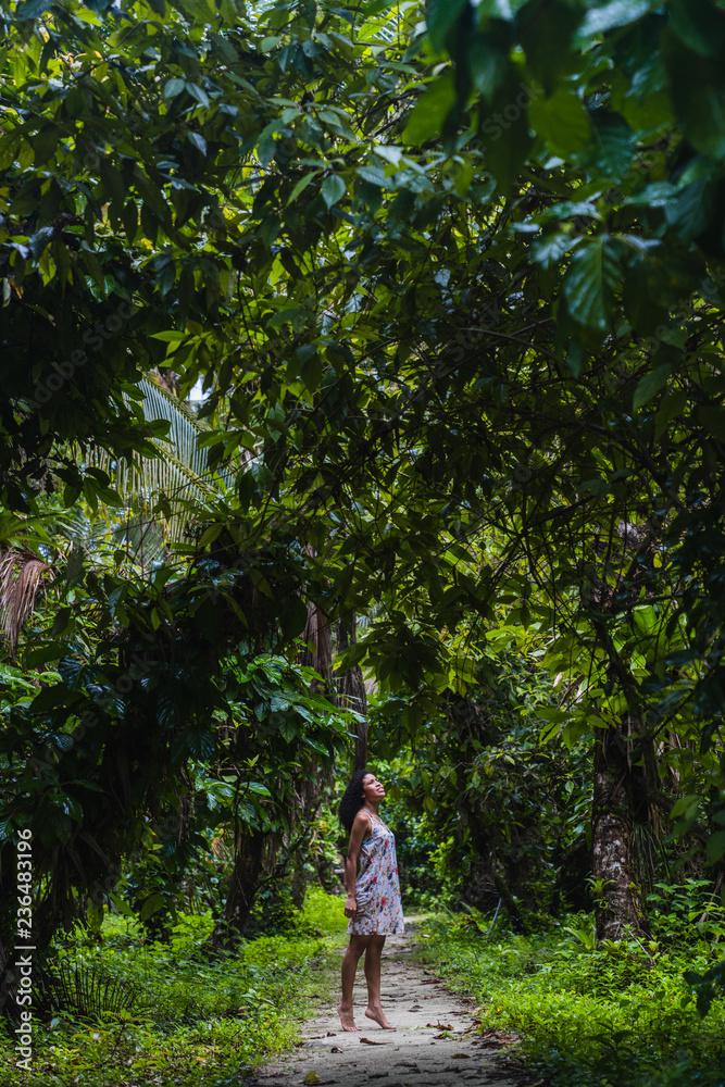 Young lady in dress on walkway between tropical forest Young lady in dress on walkway between tropical forest