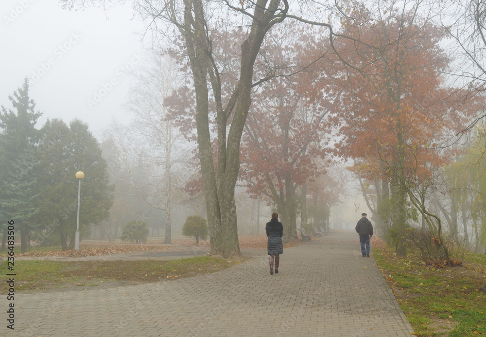 Autumn landscape in the Park. Autumn landscape in the Park.