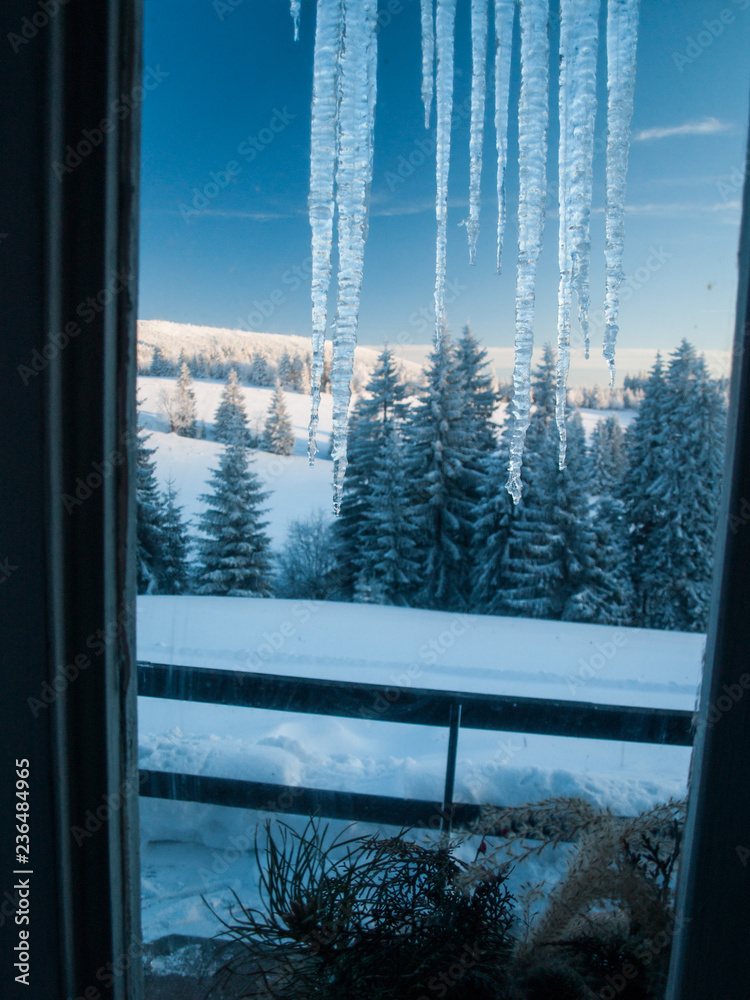 Window with icicles, group of trees in the background. Winter in the Czech Republic. Window with icicles, group of trees in the background. Winter in the Czech Republic.