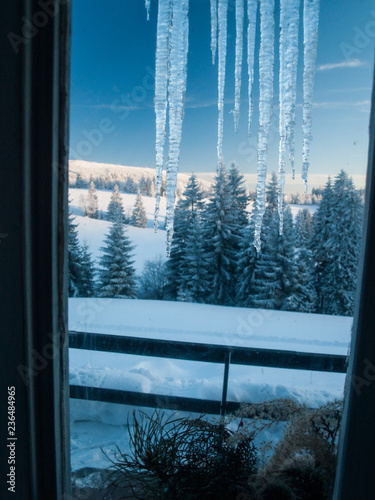Window with icicles, group of trees in the background. Winter in the Czech Republic.