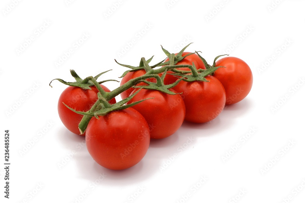 red cocktail tomatoes on vine isolated on white