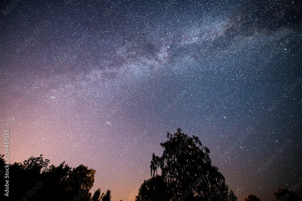 Scenic starry night sky with milky way in the forest Stock Photo ...